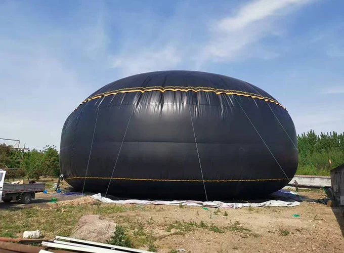 Vandens ir aliejaus laikymo pūslė